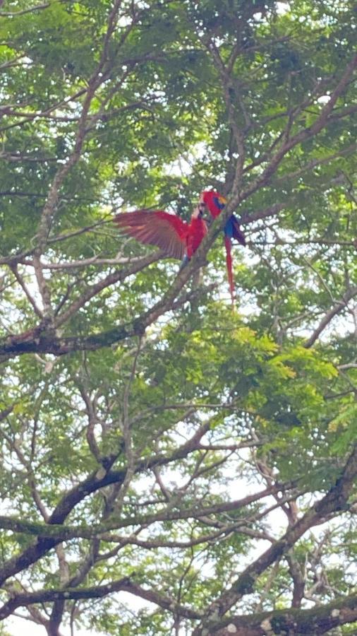 Las Plumas De Cabuya Cabuya  Exterior photo